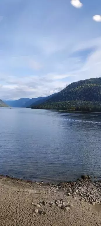 Дом в Алтай, Турочакский район, с. Артыбаш Телецкая ул., 62 (50 м) - Фото 2