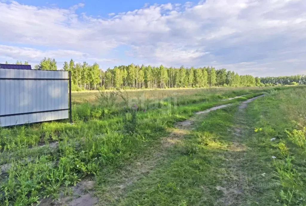 Участок в Омская область, Омский район, с. Усть-Заостровка ул. 4-я ... - Фото 0