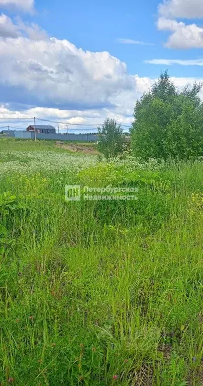 Участок в Ленинградская область, Ломоносовский район, Гостилицкое ... - Фото 1