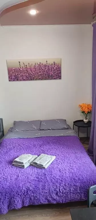 Студия Татарстан, Казань ул. 2-я Юго-Западная, 39 (36.0 м) - Фото 2