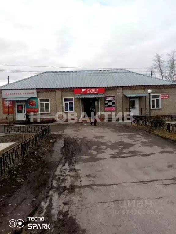 Помещение свободного назначения в Новосибирская область, Краснозерское ... - Фото 2