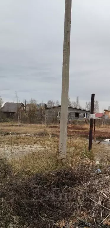 Участок в Ханты-Мансийский АО, Сургут Прибрежный-1 садовое ... - Фото 1