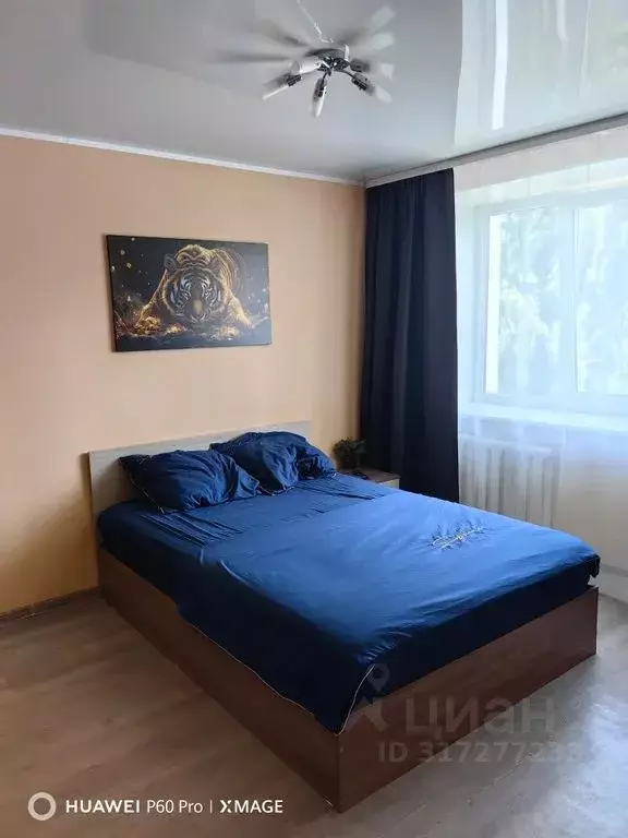 1-к кв. Омская область, Омск просп. Карла Маркса, 29А (31.0 м) - Фото 0