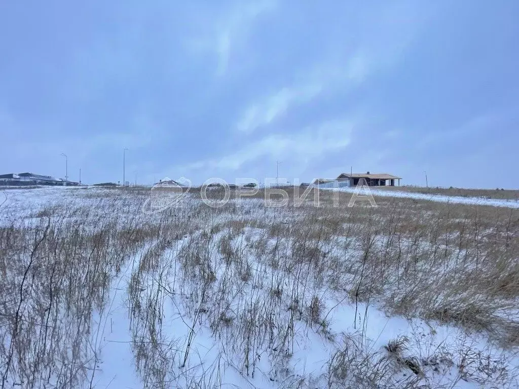 Участок в Тюменская область, Тюменский район, Онегин кп  (10.0 сот.) - Фото 0