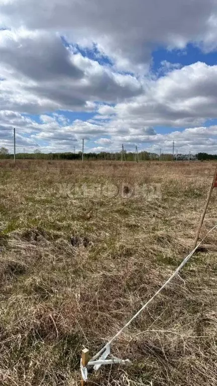 Участок в Новосибирская область, Ордынский район, с. Красный Яр ул. ... - Фото 2