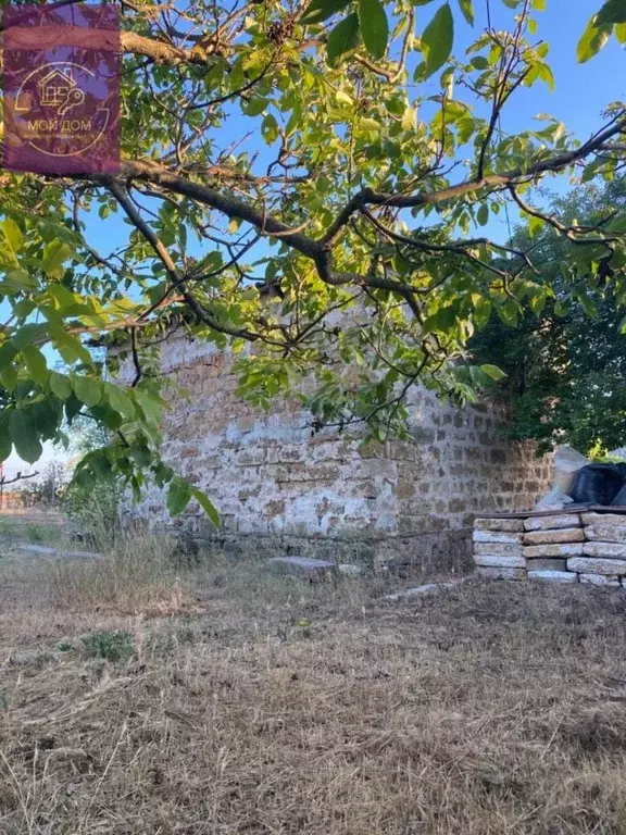 Участок в Крым, Евпатория Авиатор СНТ, аллея Вторая, 137 (5.0 сот.) - Фото 1