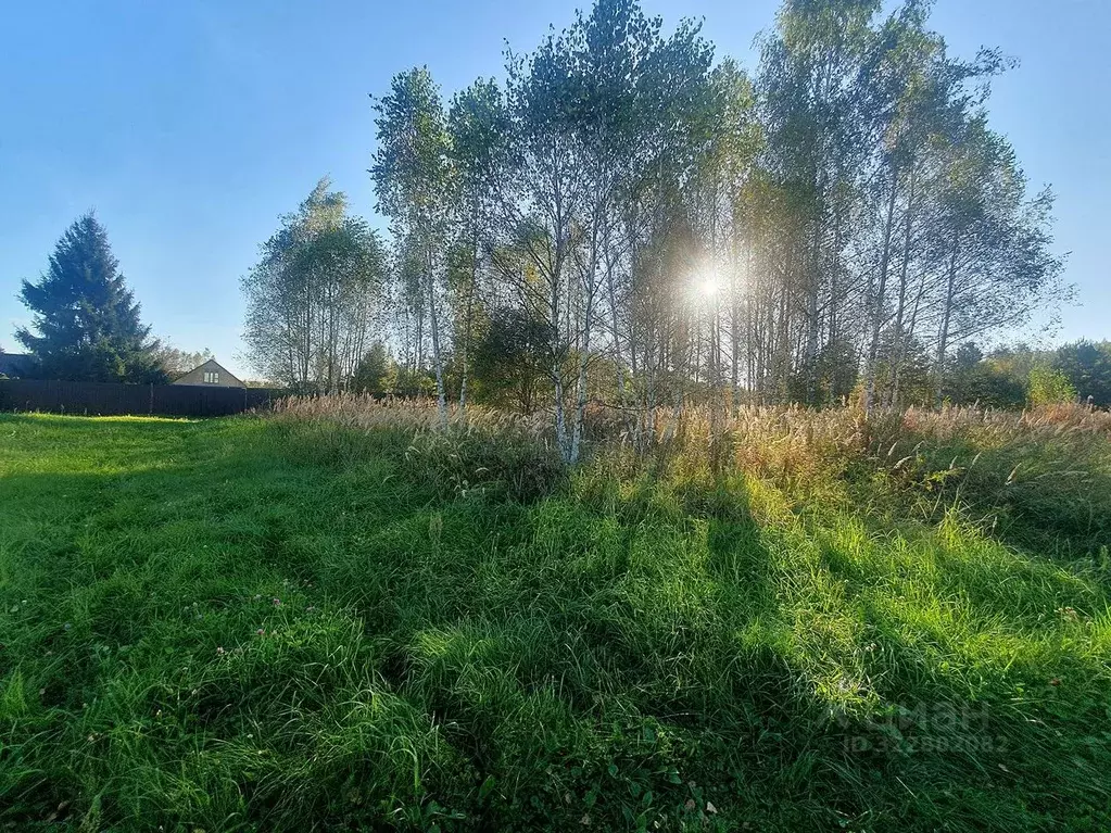 Участок в Московская область, Орехово-Зуевский городской округ, д. ... - Фото 2
