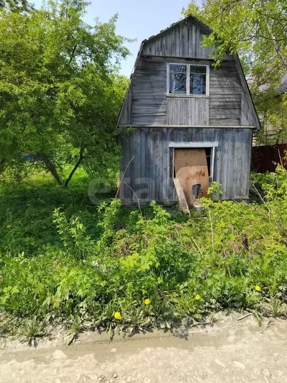 Участок в Сахалинская область, Южно-Сахалинск Дельфин СНТ, 21 (6.19 ... - Фото 1