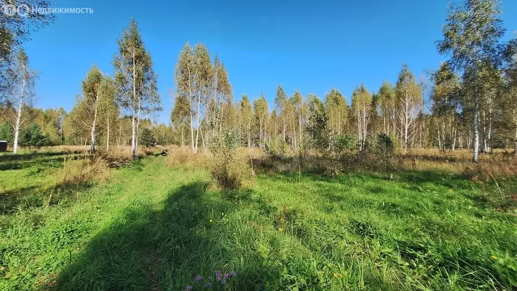 Участок в Ковровский район, муниципальное образование Малыгинское, ... - Фото 1