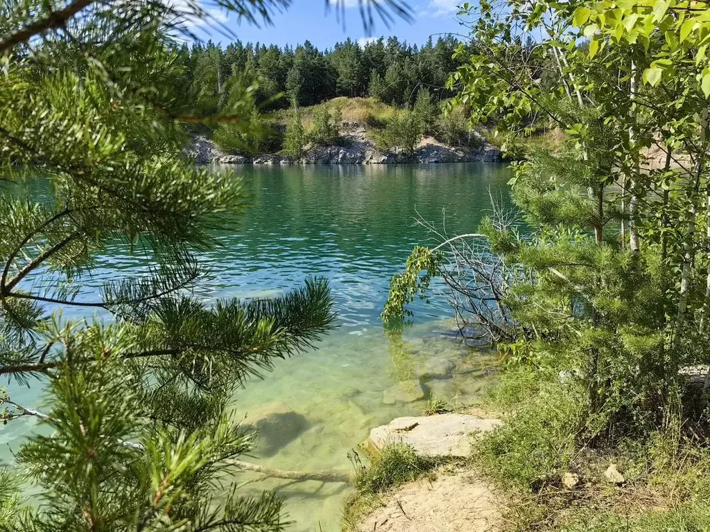 Участок в Новосибирская область, Ордынский район, д. Абрашино ... - Фото 1