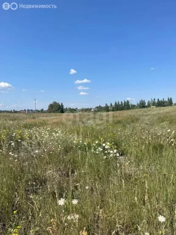 Участок в село Сенцово, Васильковая улица (15 м) - Фото 0