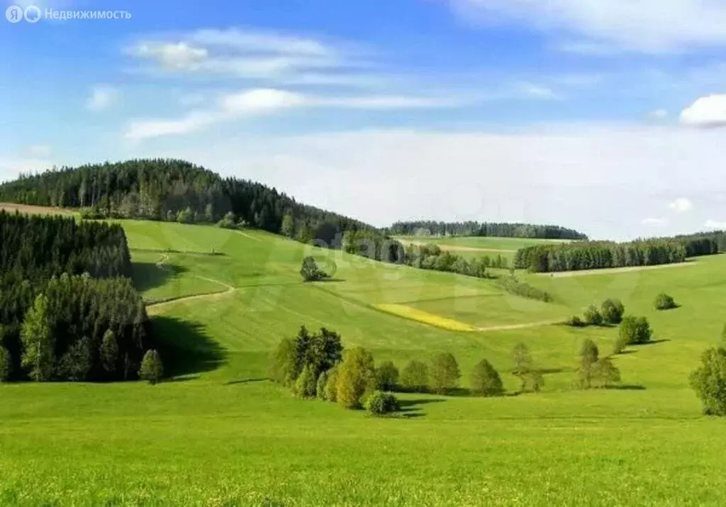 Участок в Калужская область, Дзержинский муниципальный округ, сельское ... - Фото 1