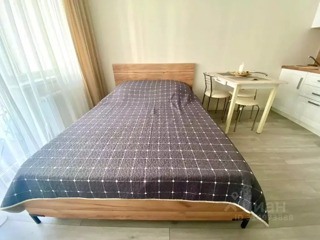 Студия Краснодарский край, Сочи городской округ, Дагомыс пгт ул. ... - Фото 1