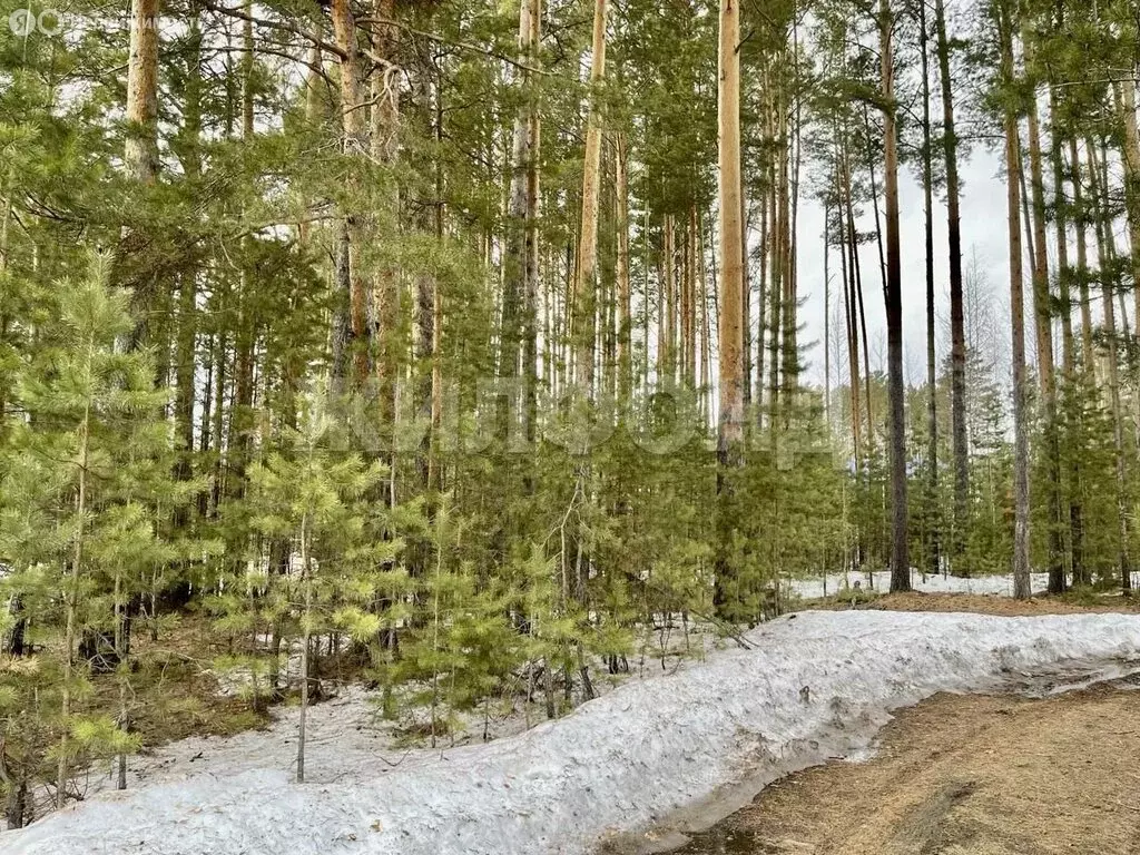 Участок в посёлок Победа, Дорожный переулок (11 м) - Фото 1