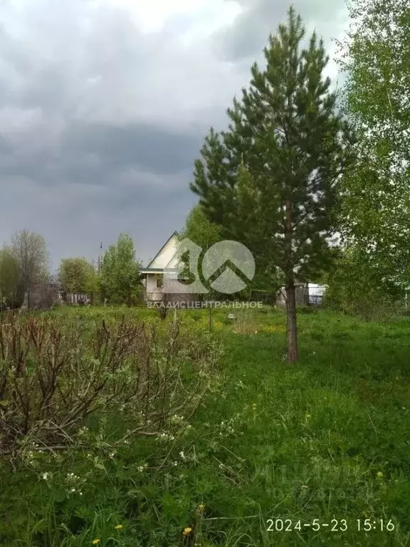 Участок в Новосибирская область, Новосибирский район, Раздольненский ... - Фото 1