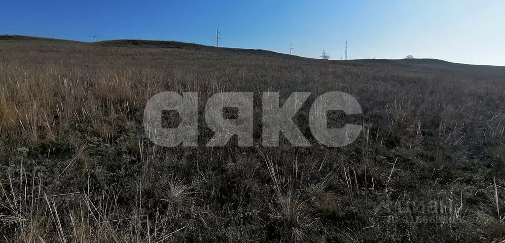 Участок в Волгоградская область, Городищенский район, Царицынское ... - Фото 0