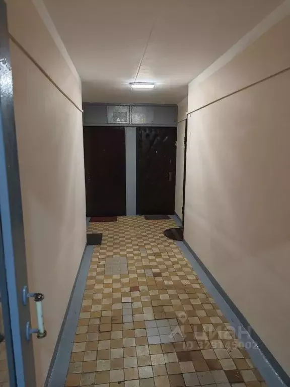 2-к кв. Москва Первомайская ул., 64 (36.8 м) - Фото 2