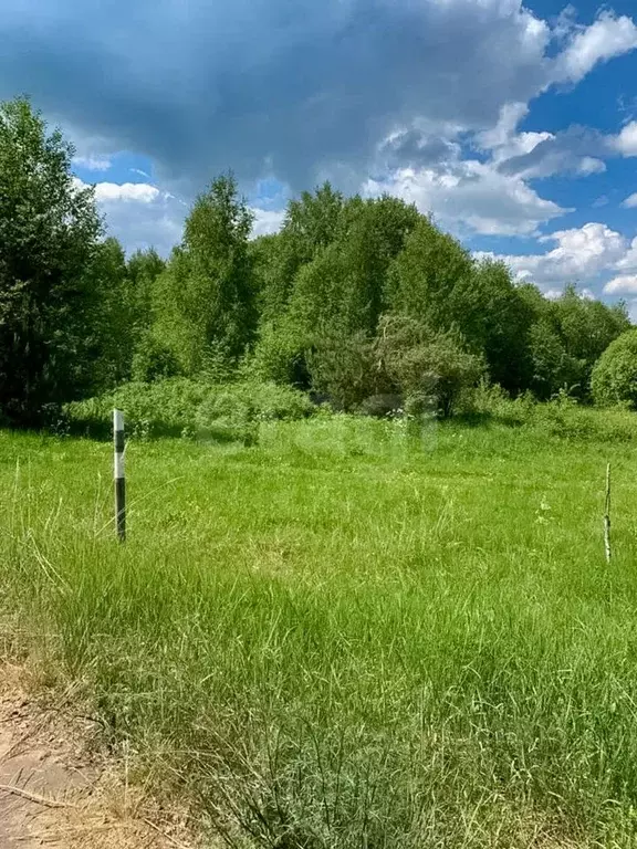 Участок в Ярославская область, Мышкинский муниципальный округ, с. Учма ... - Фото 1