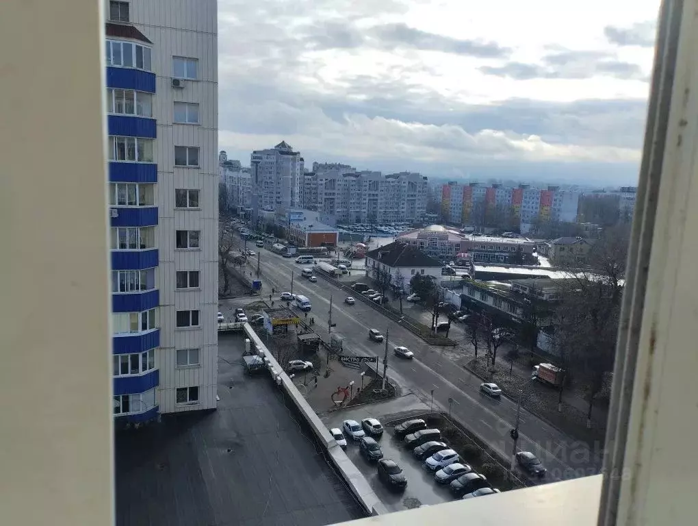 1-к кв. Брянская область, Брянск Красноармейская ул., 100 (67.0 м) - Фото 0