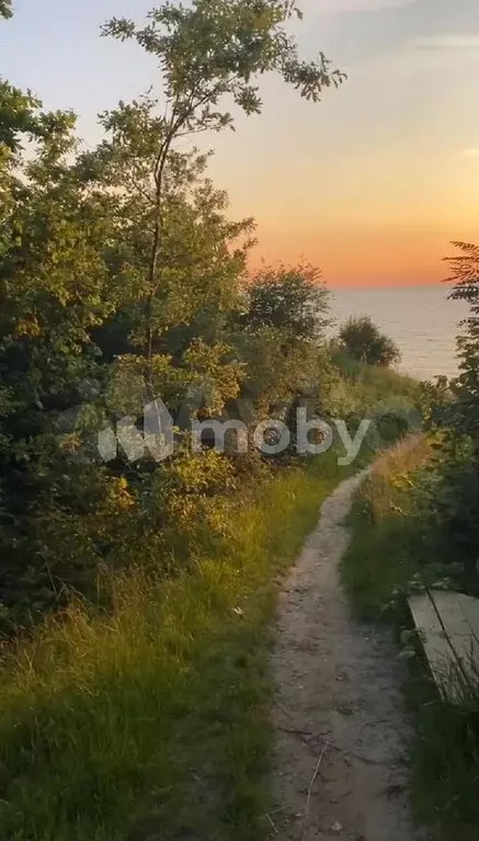 Участок 6 сот. (СНТ, ДНП) - Фото 0