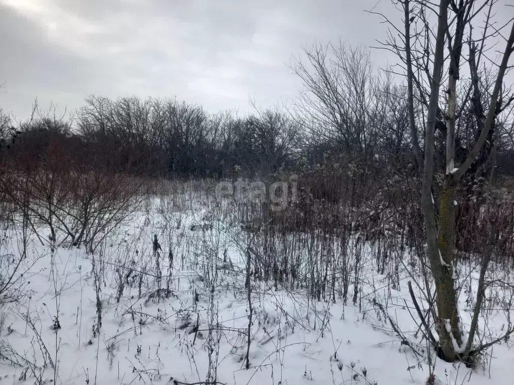 Участок в Белгородская область, Губкин Журавушка СТ,  (6.0 сот.) - Фото 1