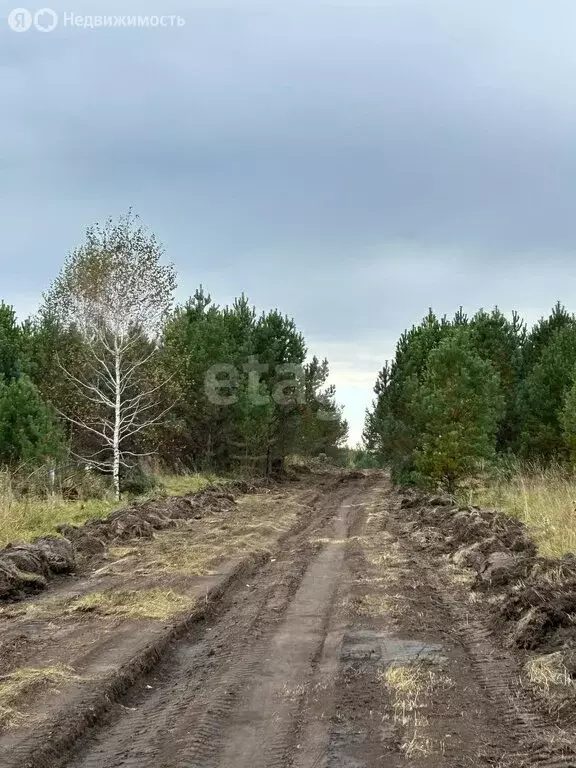 Участок в село Фирсово, жилой комплекс Палитра, улица Ильи Репина (8 ... - Фото 0