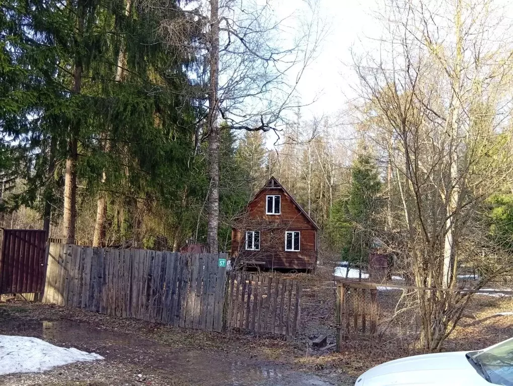 Дом в Московская область, Рузский муниципальный округ, Азотчик садовое ... - Фото 1
