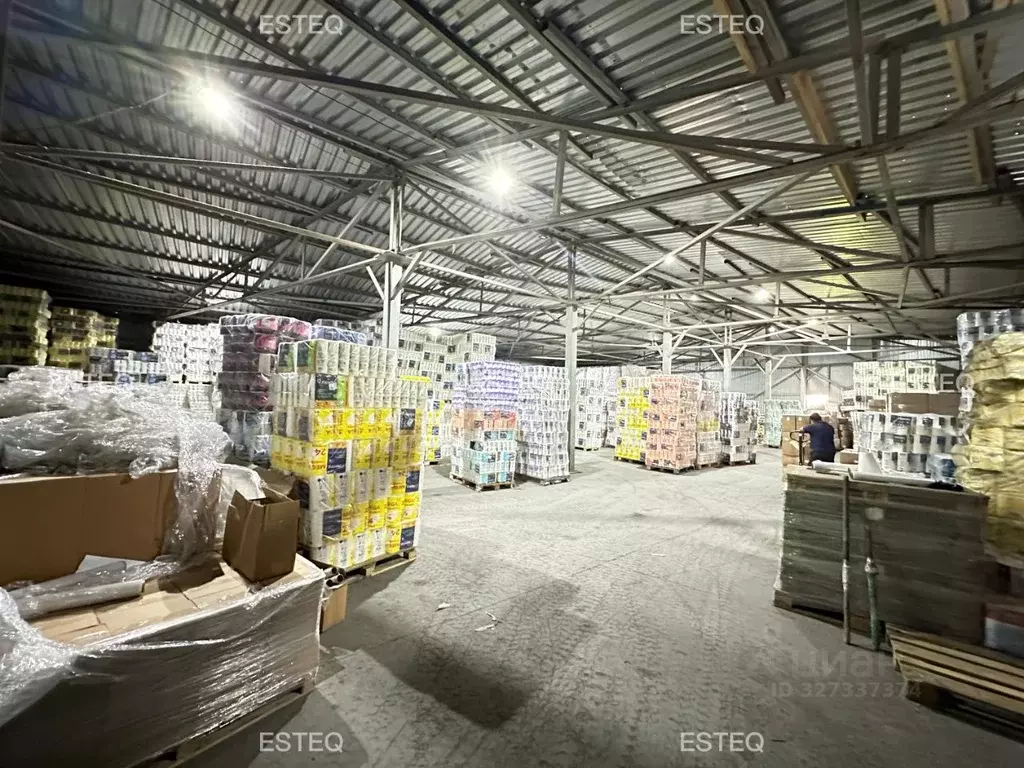 Склад в Новосибирская область, Новосибирск ул. Петухова, 79 (1750 м) - Фото 1