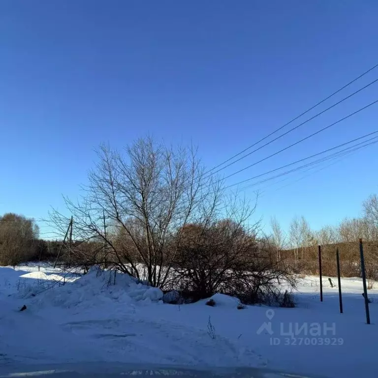 Участок в Иркутская область, Иркутский муниципальный округ, с. ... - Фото 1