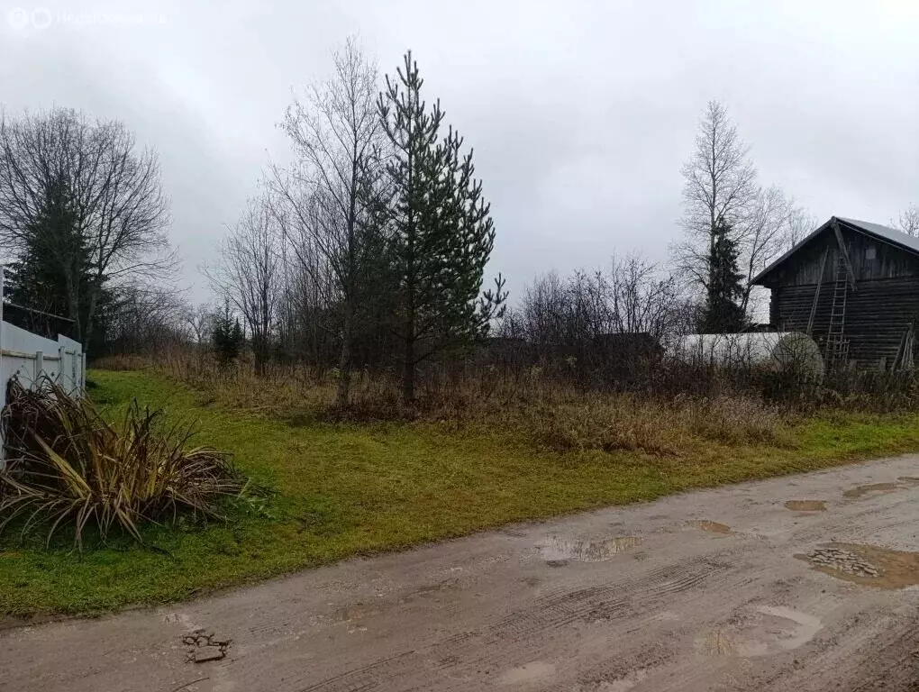 Участок в Кирово-Чепецкий муниципальный район, Пасеговское сельское ... - Фото 1