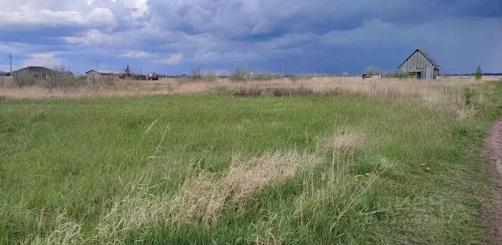 Участок в Самарская область, Ставропольский район, с. Выселки, Колос ... - Фото 2