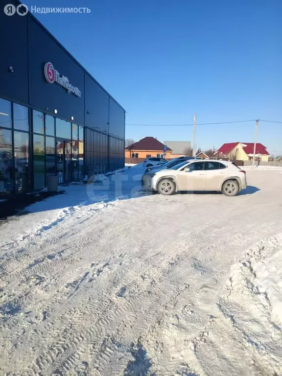 Помещение свободного назначения (300 м) - Фото 1