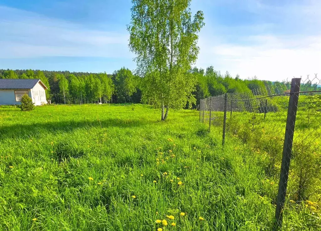 Участок в Московская область, Серпухов городской округ, д. Высокие ... - Фото 1