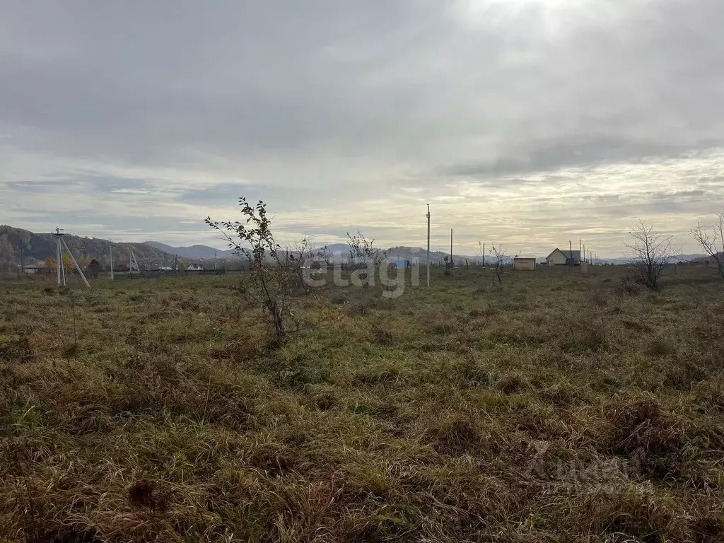 Участок в Алтайский край, Алтайский район, Айский сельсовет, ... - Фото 1