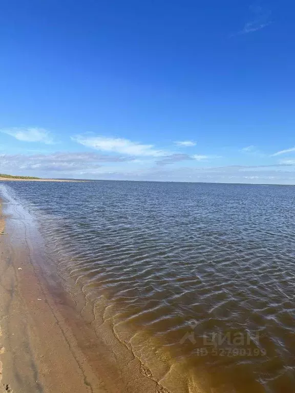 Участок в Новгородская область, Новгородский район, Ракомское с/пос, ... - Фото 1