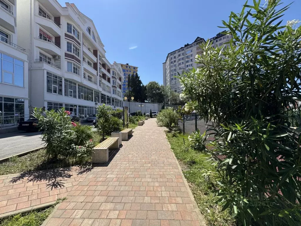 Студия Краснодарский край, Сочи ул. Ленина, 290/7к2 (24.6 м) - Фото 1