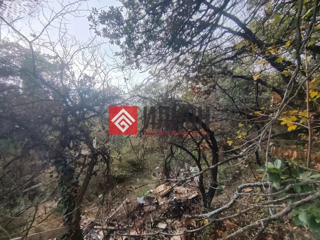 Участок в Крым, Ялта муниципальный округ, Кореиз пгт ул. Южная (6.0 ... - Фото 2