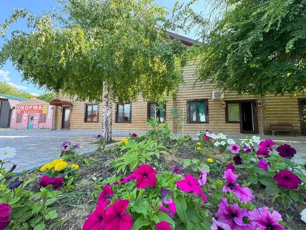 Помещение свободного назначения в Самарская область, Чапаевск ул. ... - Фото 1