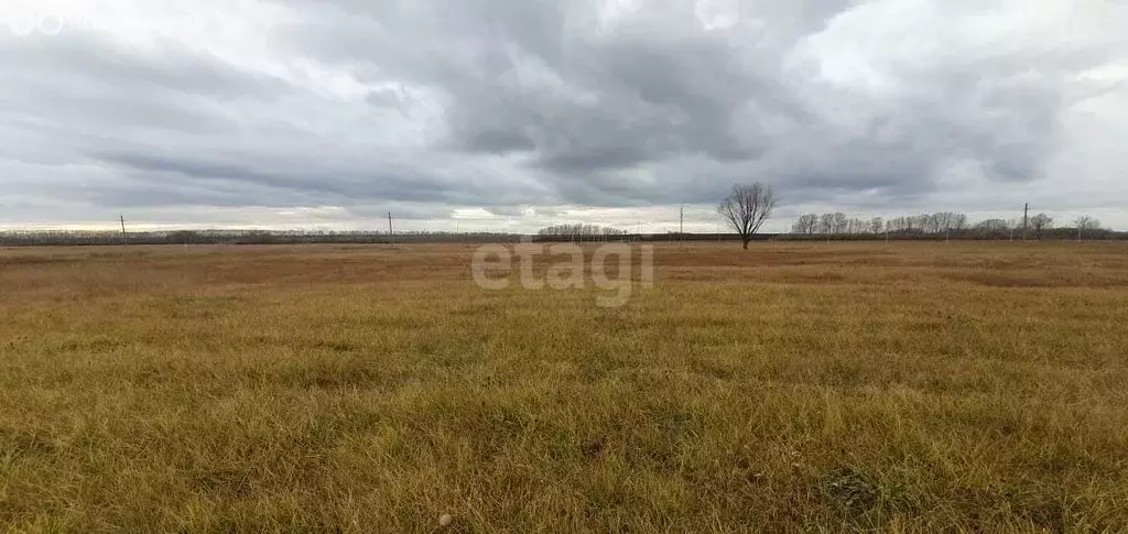 Участок в Стерлитамакский район, Отрадовский сельсовет, село Новая ... - Фото 1