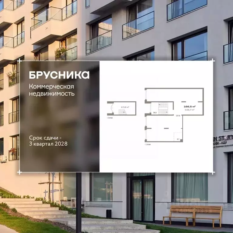 Помещение свободного назначения в Новосибирская область, Новосибирск ... - Фото 1
