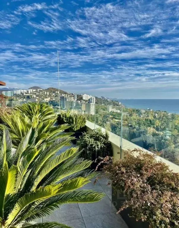 1-к кв. Краснодарский край, Сочи Светлана мкр, ул. Депутатская, 10Б/1 ... - Фото 2