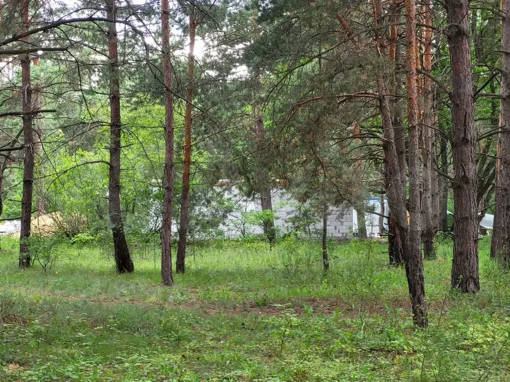 Участок 8 сот. (ИЖС) - Фото 1