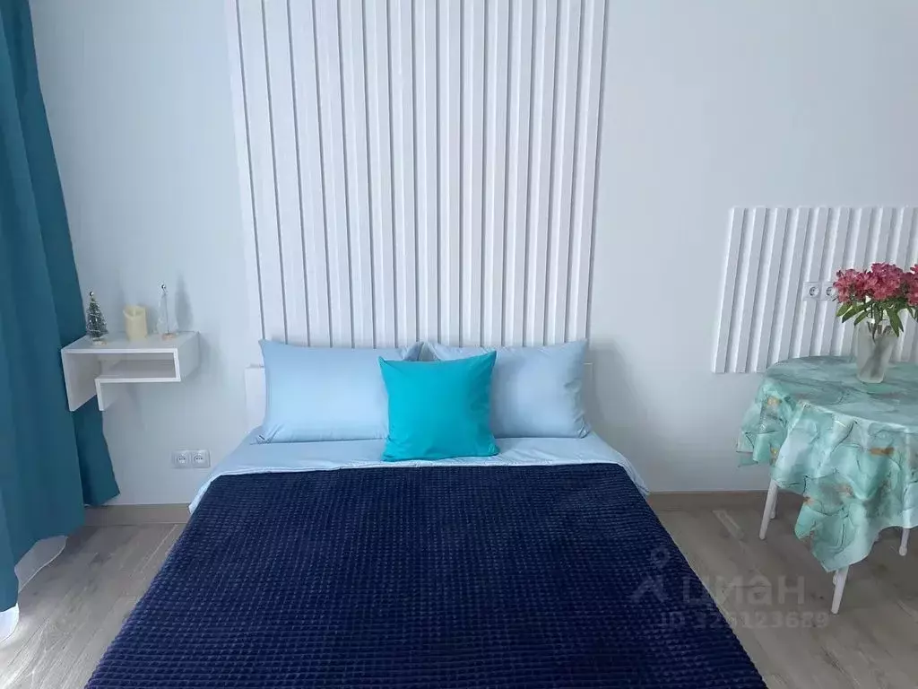 Студия Новосибирская область, Мошковский район, пос. Октябрьский ул. ... - Фото 1