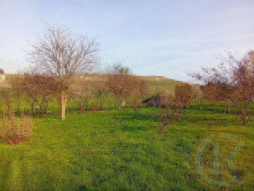 Участок в Крым, Симферопольский район, с. Чистенькое ул. Абрикосовая, ... - Фото 1