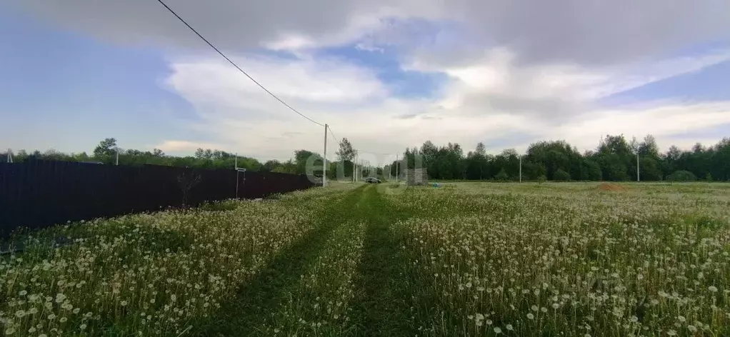 Участок в Смоленская область, Смоленск Славутич СНТ,  (12.0 сот.) - Фото 0