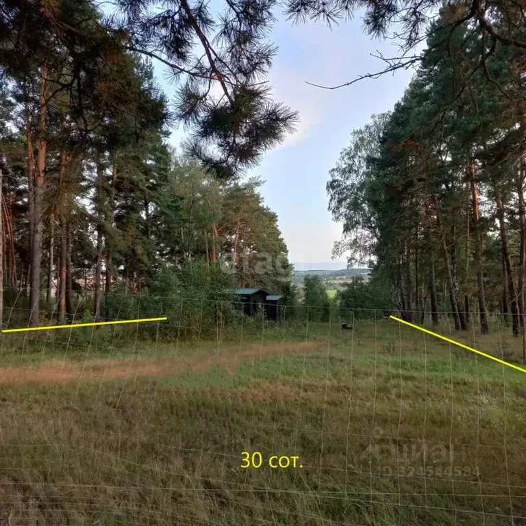 Участок в Калужская область, Жуковский муниципальный округ, Троицкое ... - Фото 2