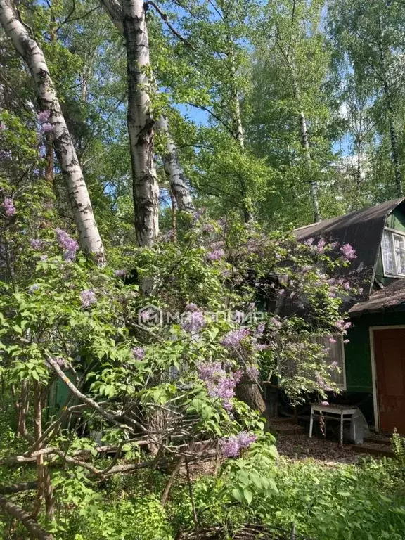 Дом в Татарстан, Лаишевский район, д. Матюшино 12 (55 м) - Фото 1