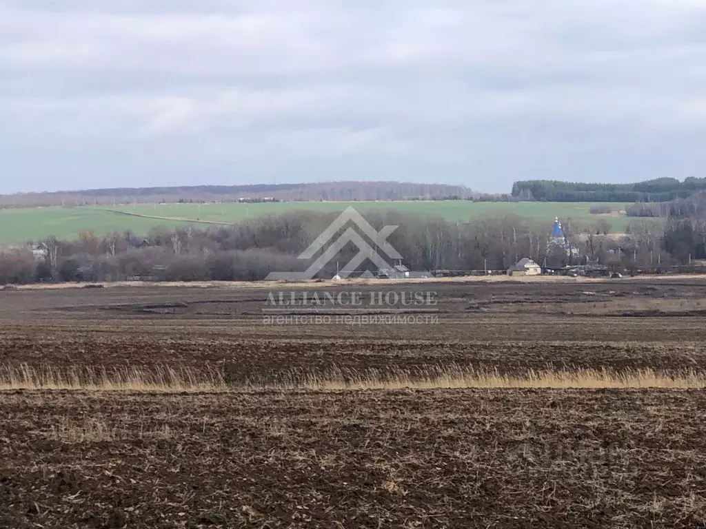 Участок в Татарстан, Лаишевский район, с. Кирби ул. Татарстан (453.0 ... - Фото 1