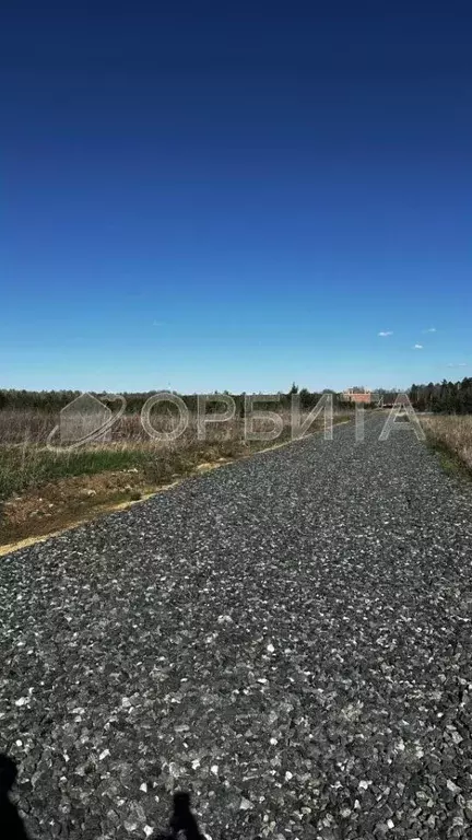 Участок в Тюменская область, Тюменский муниципальный округ, с. ... - Фото 2