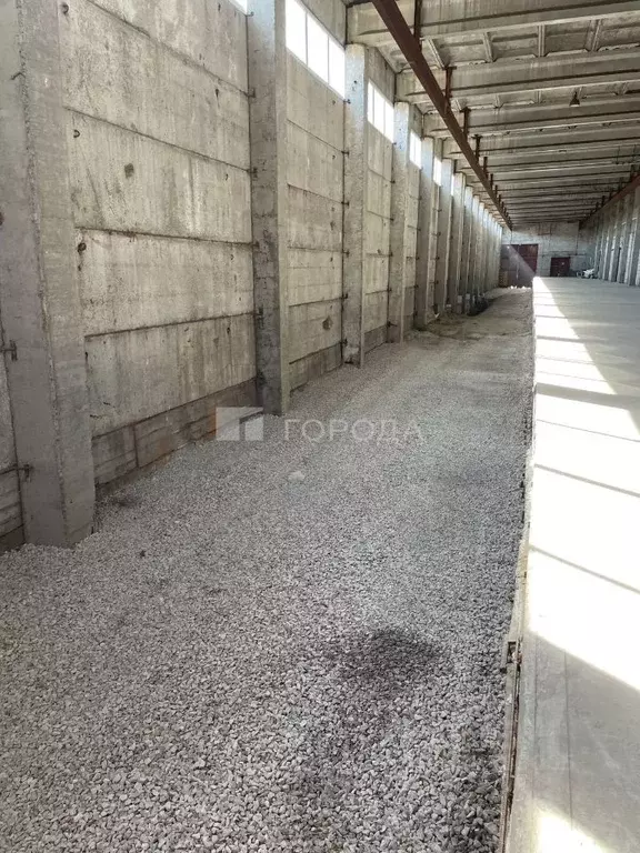 Склад в Новосибирская область, Новосибирск Толмачевское ш., 16 (650 м) - Фото 1